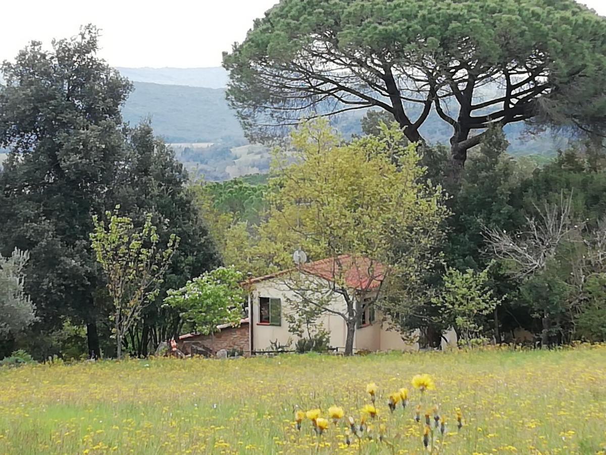 Casa Jacaranda Villa Monteverdi Marittimo Dış mekan fotoğraf