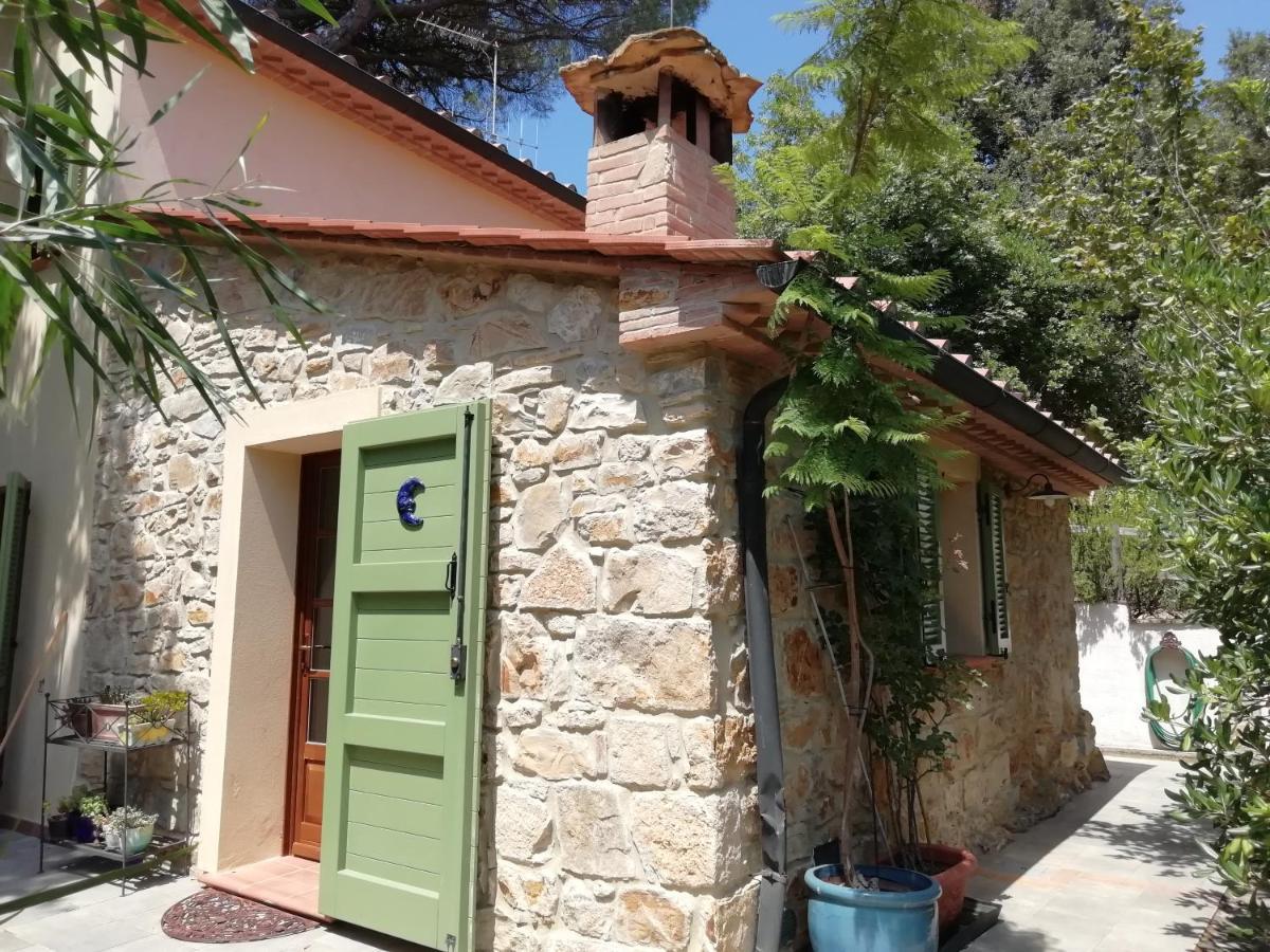 Casa Jacaranda Villa Monteverdi Marittimo Dış mekan fotoğraf