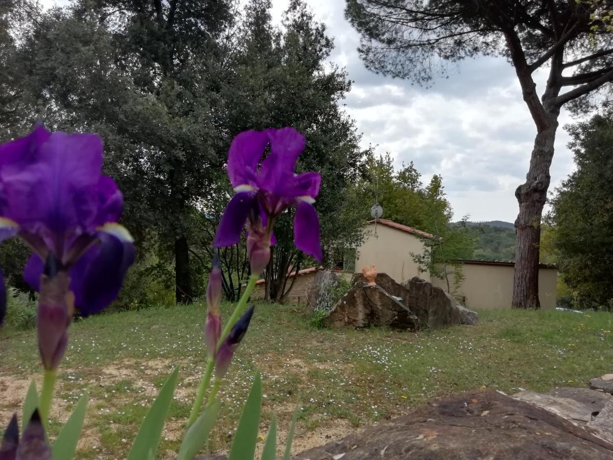 Casa Jacaranda Villa Monteverdi Marittimo Dış mekan fotoğraf