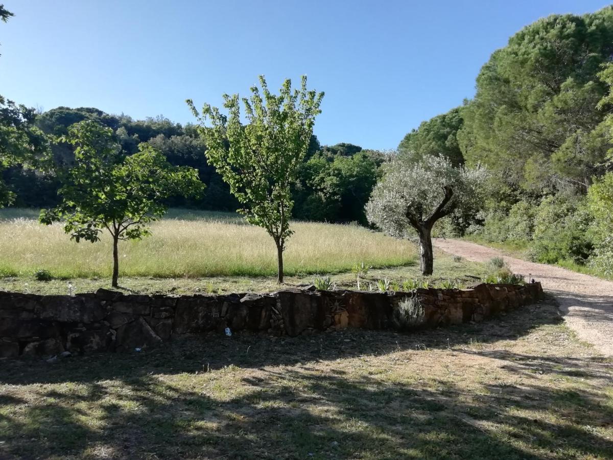 Casa Jacaranda Villa Monteverdi Marittimo Dış mekan fotoğraf