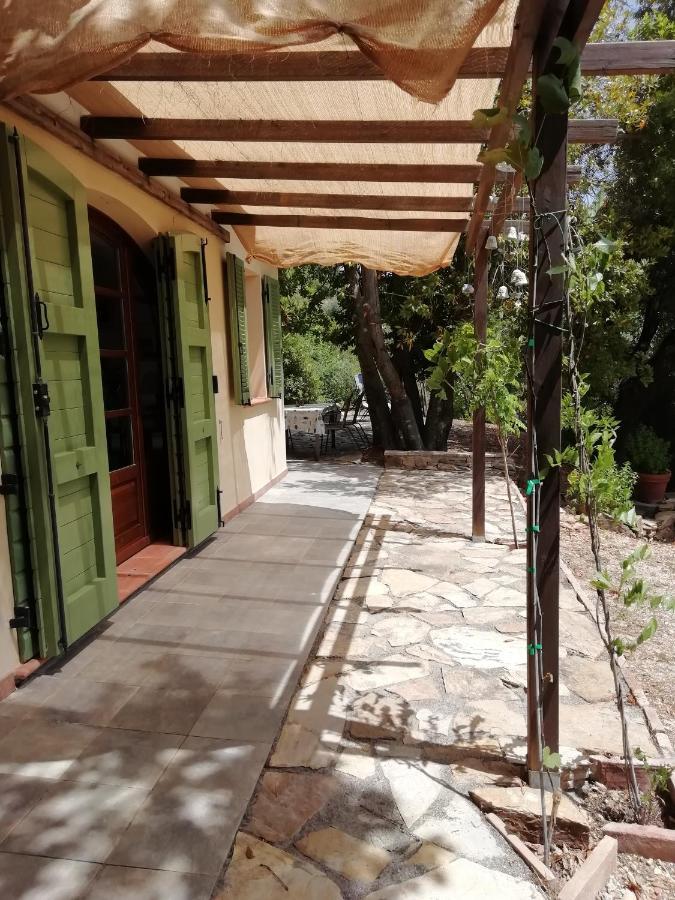 Casa Jacaranda Villa Monteverdi Marittimo Dış mekan fotoğraf
