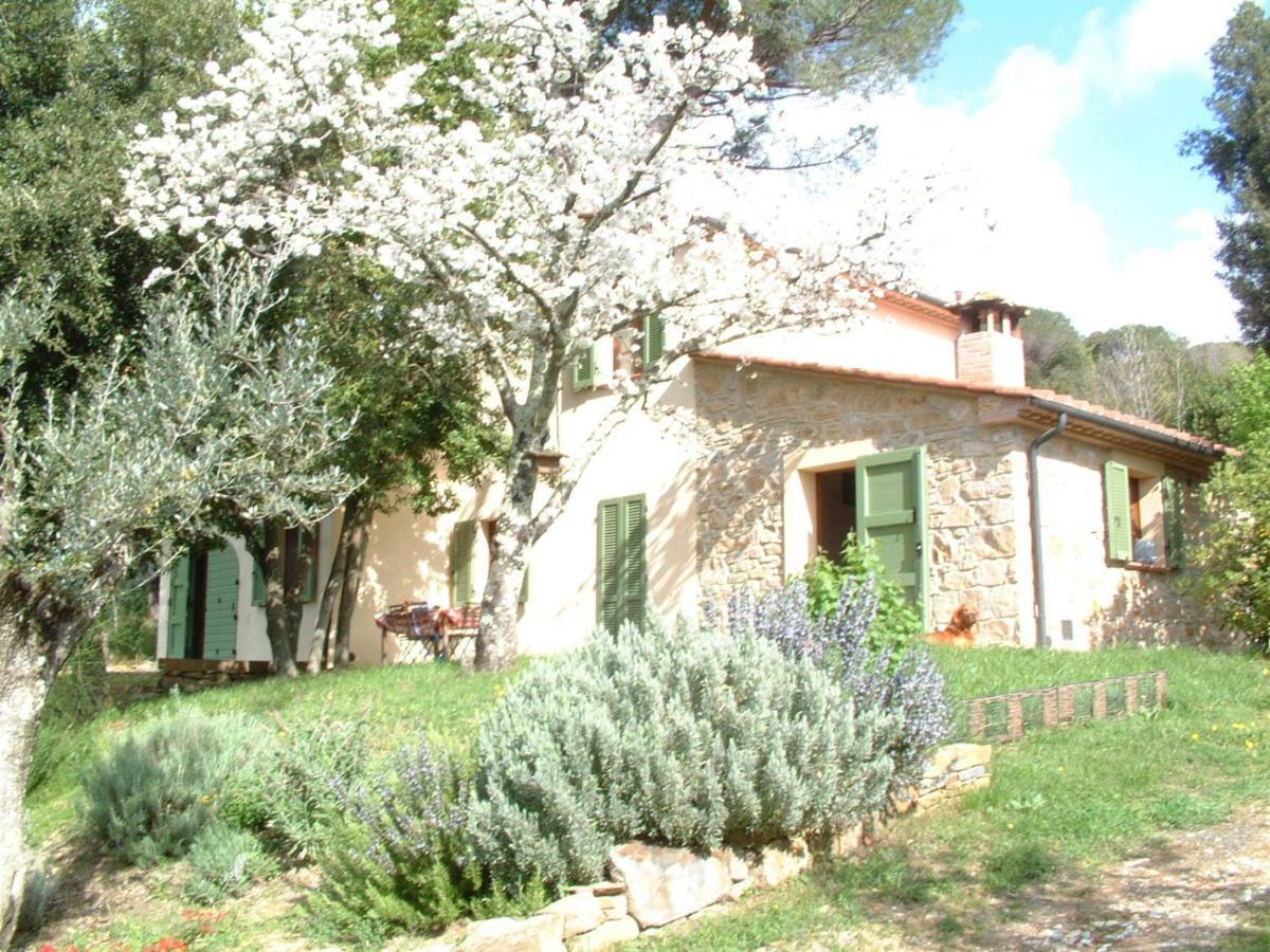 Casa Jacaranda Villa Monteverdi Marittimo Dış mekan fotoğraf