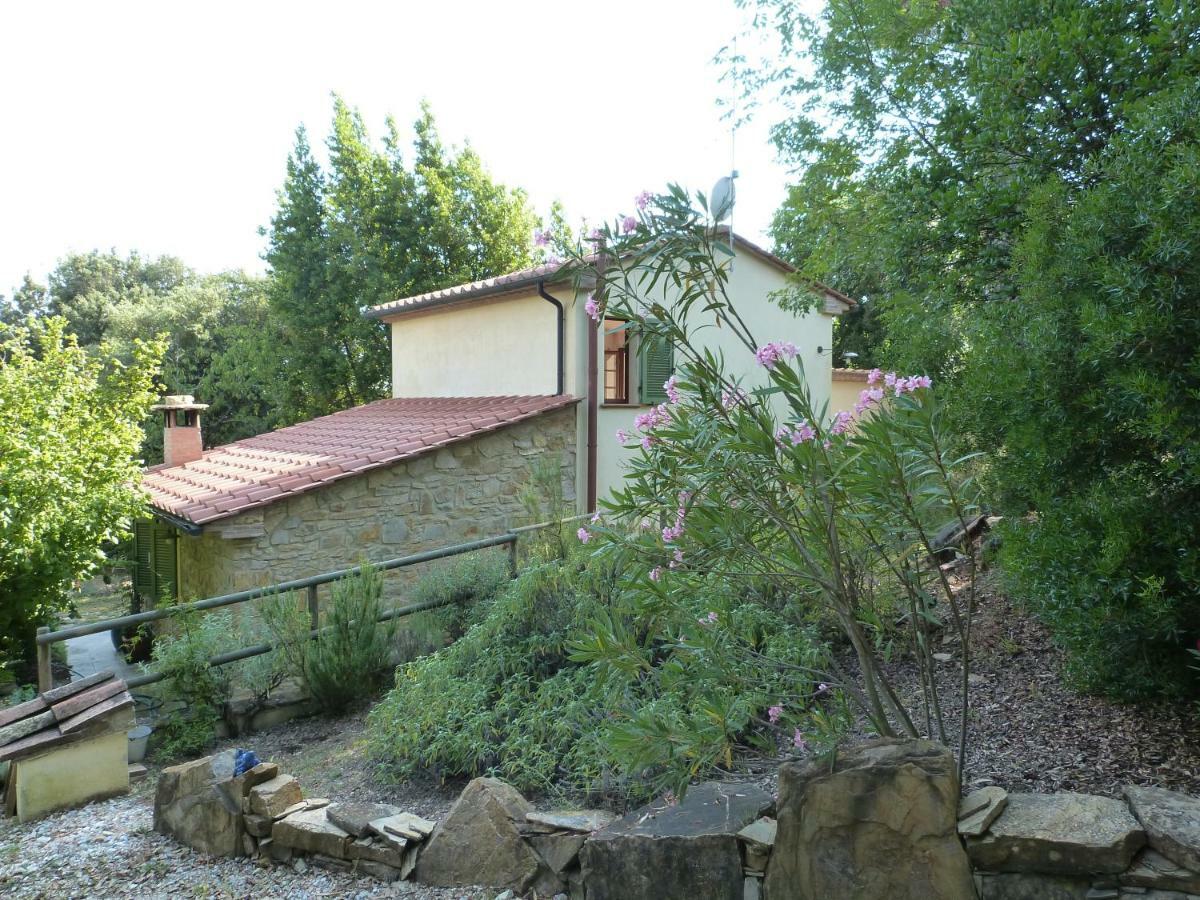 Casa Jacaranda Villa Monteverdi Marittimo Dış mekan fotoğraf